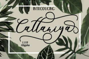 Cattaniya Font: A Fresh Script for Creative Makers