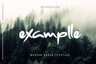 Examplle Font: A Script Typeface That Elevates Web Design