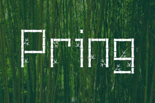 Pring Font: A Fresh Script for Modern Web Design